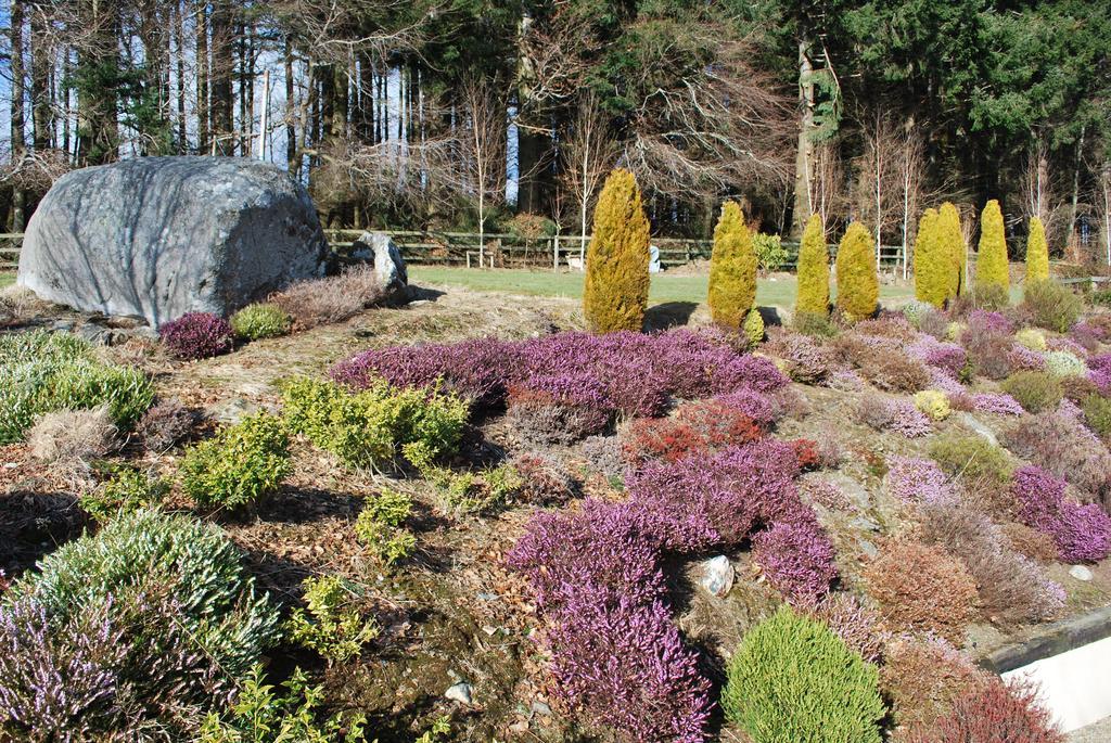 Trooperstown Lodge Laragh Exterior photo